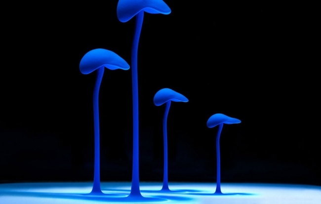 Blue Mushrooms Modern Art Underwater Photo Shooting