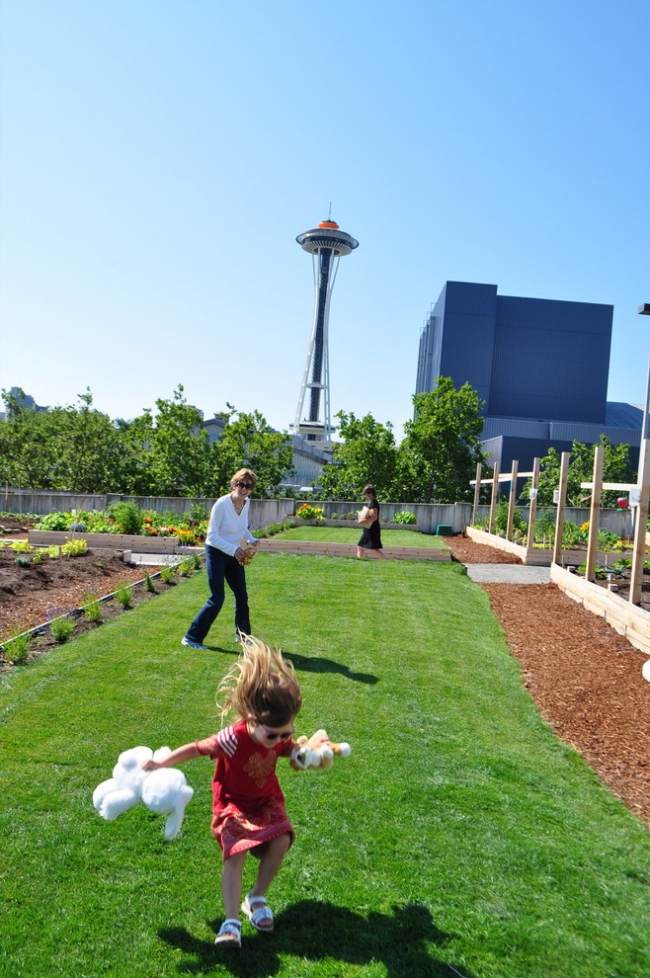 Urban Gardening Seattle Usa Modern trädgårdstakterrass
