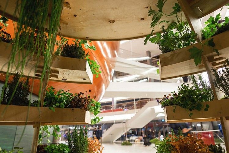 urban jordbruk futuristisk trädgård stad innovativt designprojekt koncept hyrdrokultur växter trä planters trappor