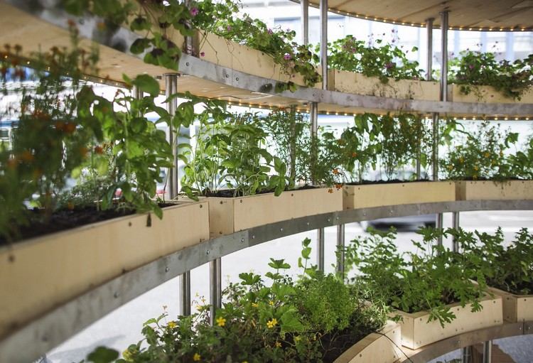 urban jordbruk futuristisk trädgård stad innovativt designprojekt koncept hyrdrokultur växter trä planters