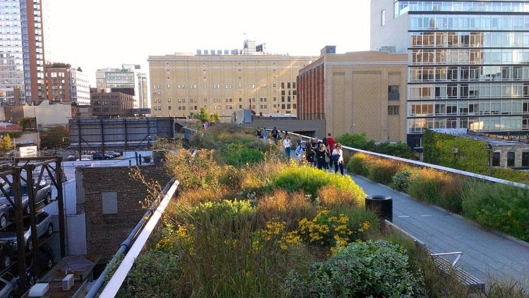 urban-green-city-life-plants-roof-manhattan