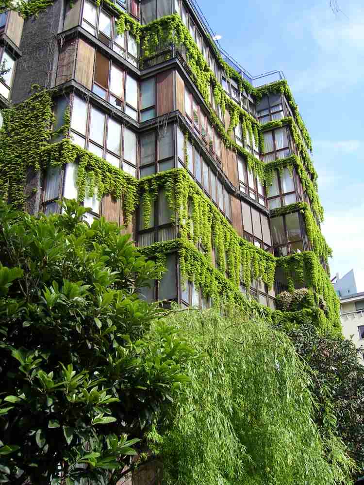 urban grön stad liv-hus fasad-klätterväxter-vertikal-trädgård-grönning