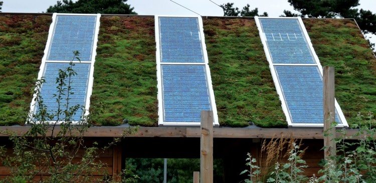 urban-grönt-sol-system-grönt-tak-energieffektivt