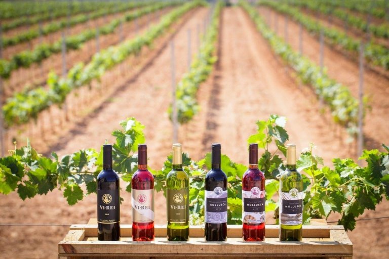 Semester på Mallorca vinprovning underhållningstips par