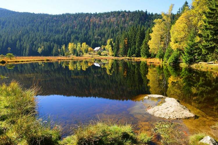 Arbersee bayerska skogen listar de vackraste sjöarna i Tyskland