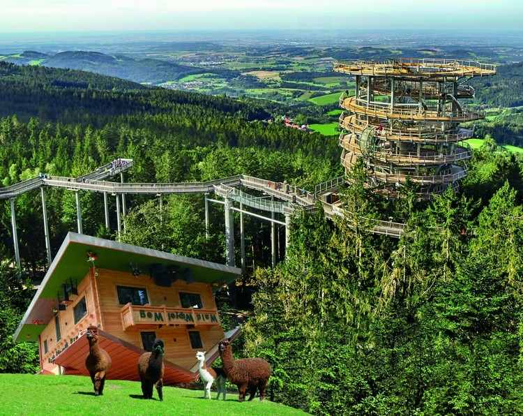 Waldwipfelweg Bayern Semester Bayerska skogstips