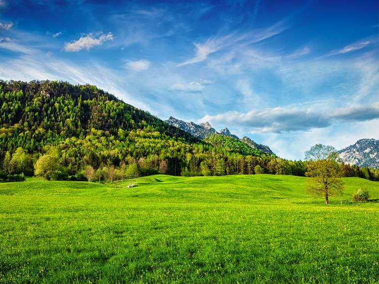 Vandringsleder i Bayern Semester i den bayerska skogen Tips