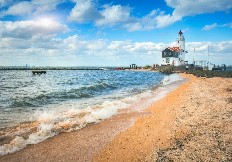 Hundvänliga stränder i Nederländerna Semester i Holland vid havet tips