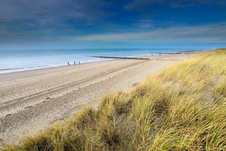 Nordsjö stränder i Nederländerna Semester i Holland vid havet tips