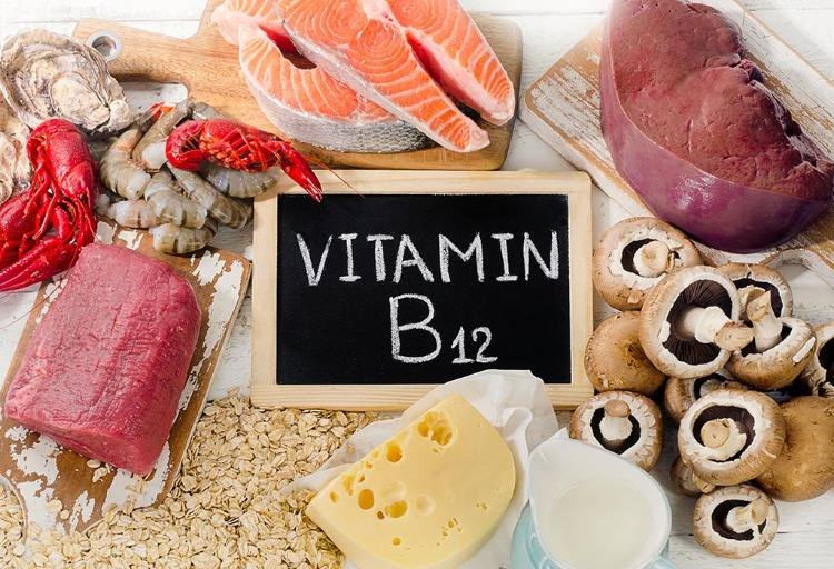 Livsmedel som innehåller vitamin B12 som svamp lax skaldjur röd köttost och mjölk