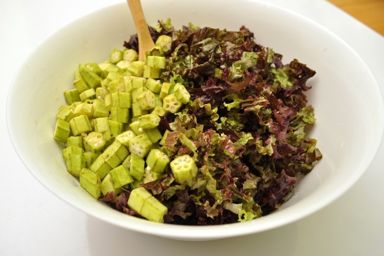 veganskt recept på grönsaksdressing okra röda blad salladsrätt