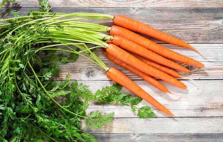 vegetariska vårrecept morötter grönsaker friska vitaminrika betakarotener