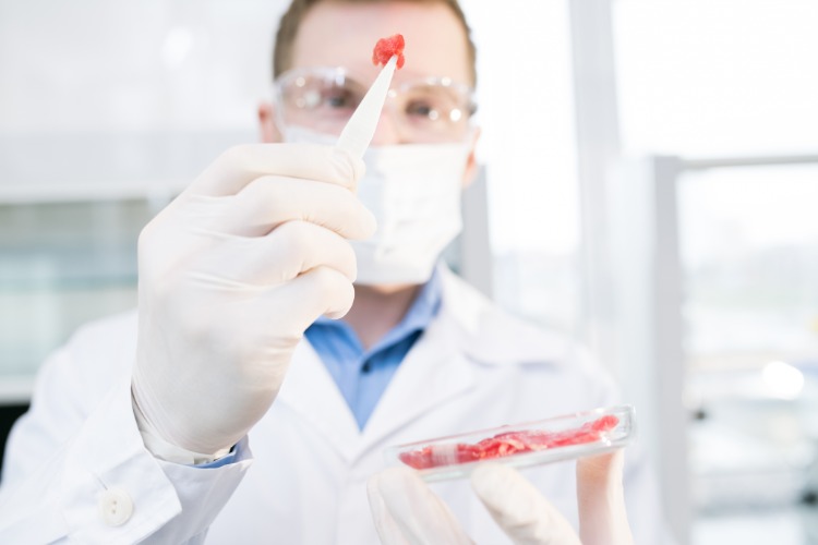 Forskare analyserar ett prov av rött kött i laboratoriet