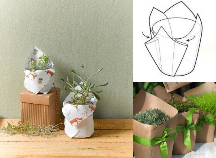 förpackning-idéer-inslagning-papper-gåvor-inslagning-växter-ger-växt krukor