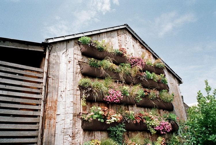 kreativ-vertikal-plantering-idéer-fasad
