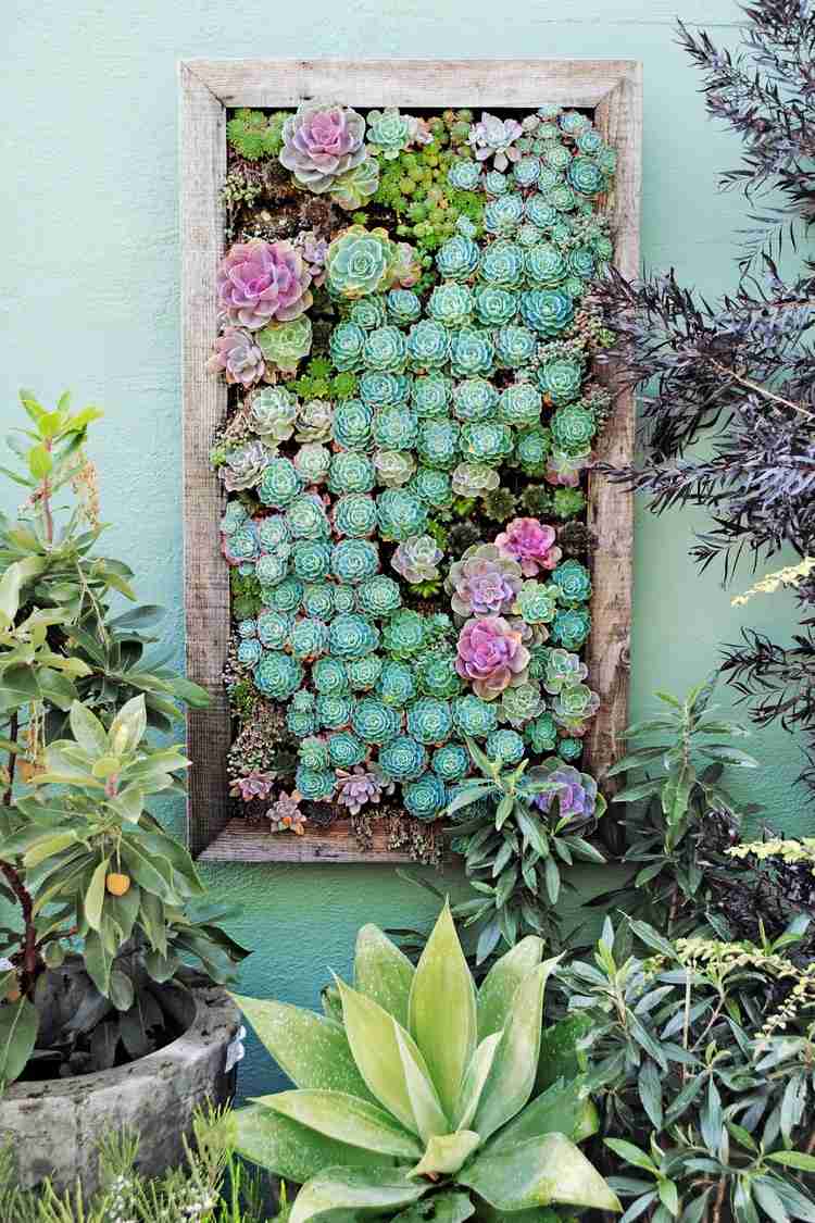 vertikal-plantering-vägg-av-växter-succulenter