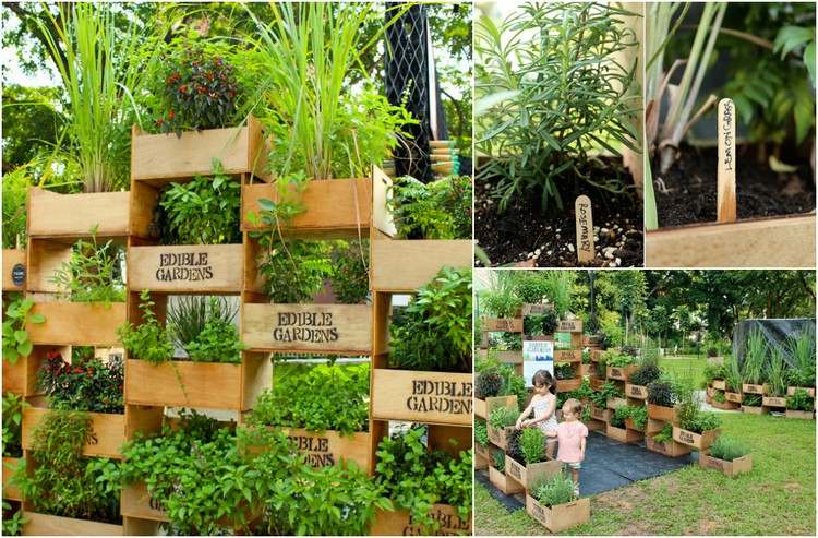 vertikal-plantering-örtträdgård-trälådor