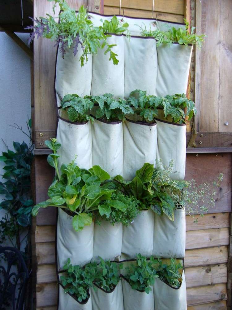 vertikal-plantering-trädgård-hängande-arrangör