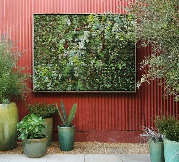 grön vägg skapa röda vägg husväxter