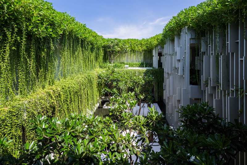 vertikal-trädgård-design-klättring-växter-trädgård-damm