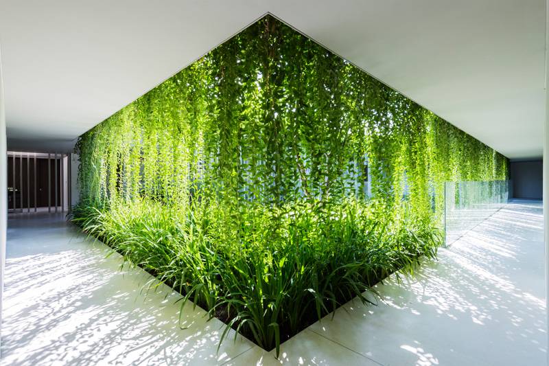vertikal-trädgård-integritetsskydd-glas-klättring-växter-idéer-moderna