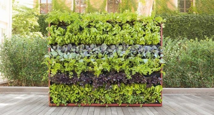Vertikal trädgård-skiljevägg-dekoration-med-levande-växter-miljövänlig
