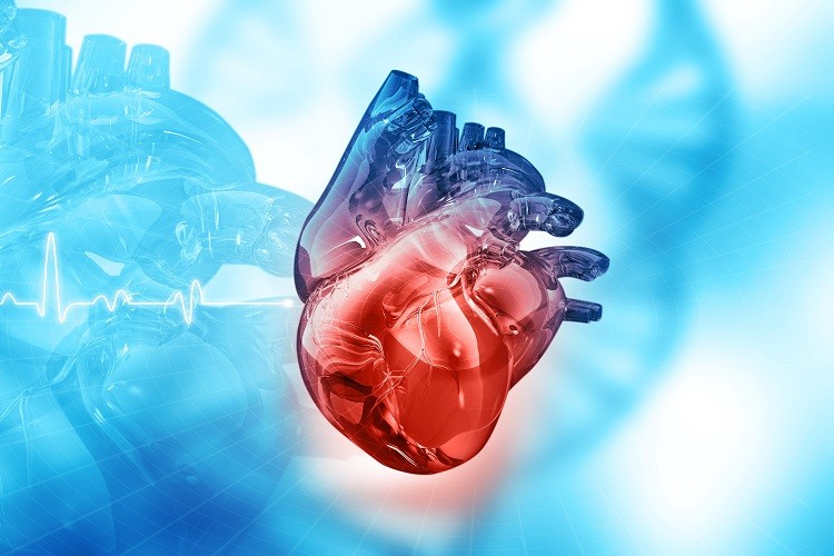 teknik-med-vävnad-på-chip-som-imitation-av-hjärtsjukdomar-för-utvecklingen-av-terapier