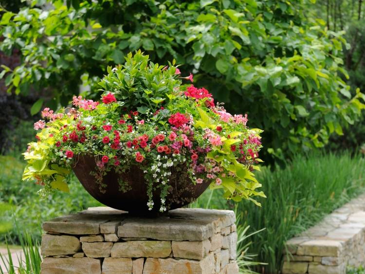 blomma-kuber-vår-trädgård-design-kreativ-idé-skål-lera-natur-sten-vägg