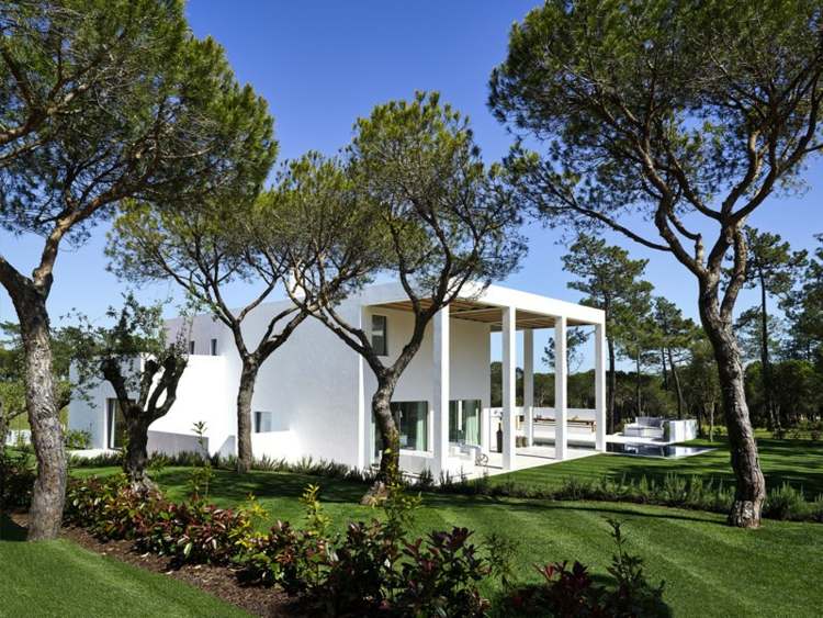 villa med vit inredning trädgård design tall gräsmatta buesche
