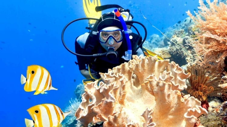 Virtuell dykning mitt i koraller och fisk och få en smak av det