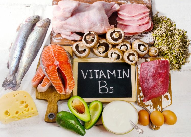 svamp svamp fisk kött mejeriprodukter rika på vitamin b5
