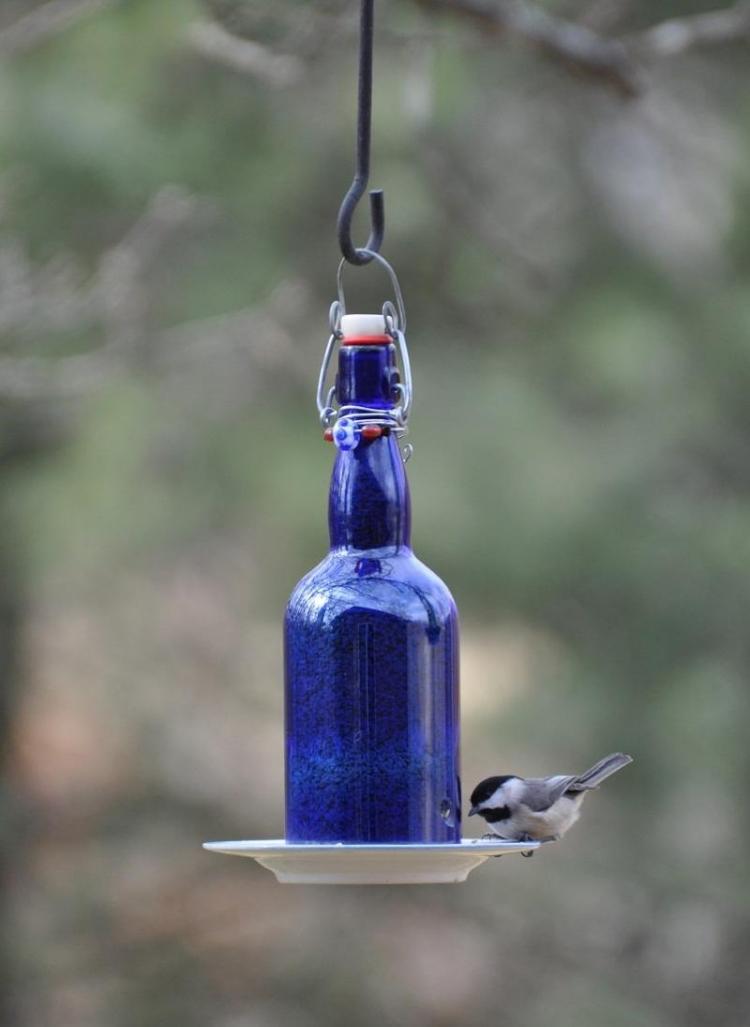 Fågel-fågel-matare-bygg-det-själv-flaska-blå-tallrik-krok-häng-träd