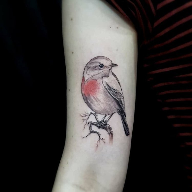 Svart och vit robin med en röd accent som en manlig eller kvinnlig tatuering