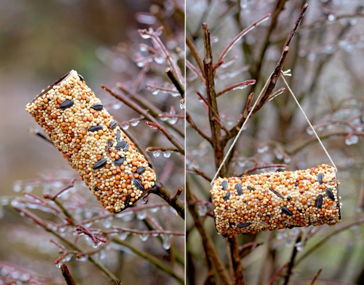 Enkel idé för fågelmatare gjord på loo -rullar med jordnötssmör