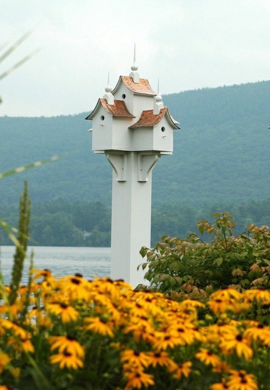vackra fågelhusblommor