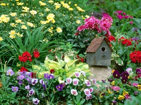 små fågelhus trädgård blommor