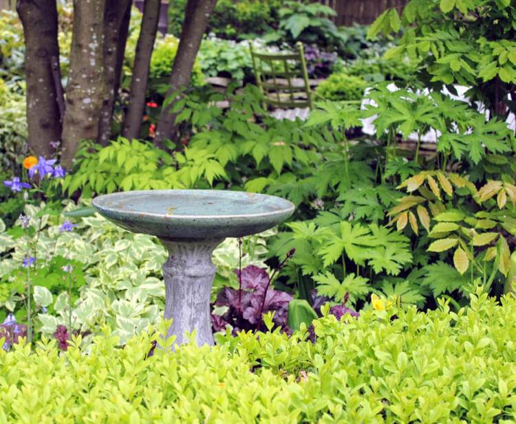 Bygg ditt eget fågelbad på en pinne och ställ upp det i trädgården