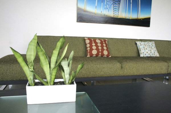 Vardagsrum soffa design grönning-moderna planter badkar