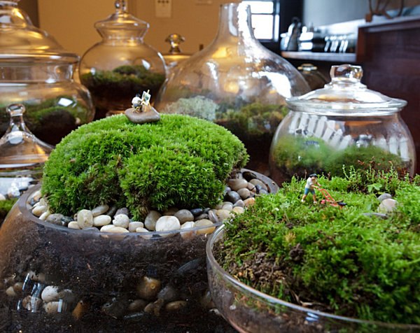 moderna inomhus trädgård idéer kvist terrarium sten deco idéer