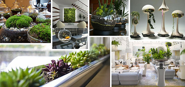 inomhus trädgård design som idéer inredning grönning-vardagsrum