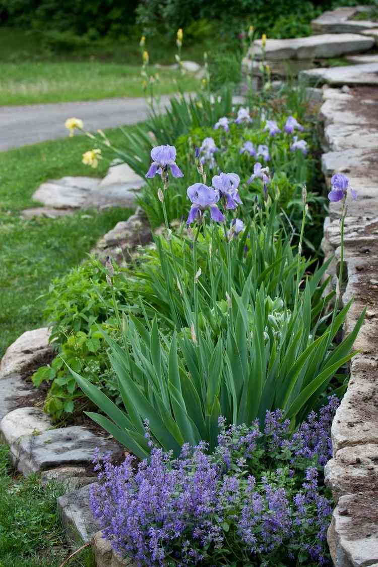 design-fram-gården-lättskött-iris