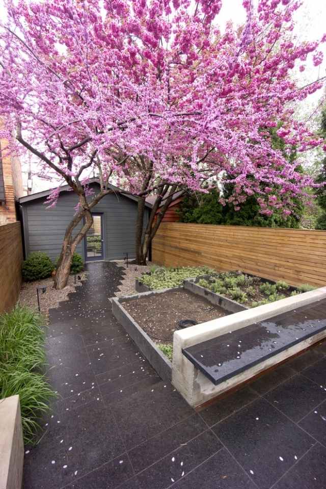 Skapa trädgårdsidéer-underbart-rosa-japansk-körsbär