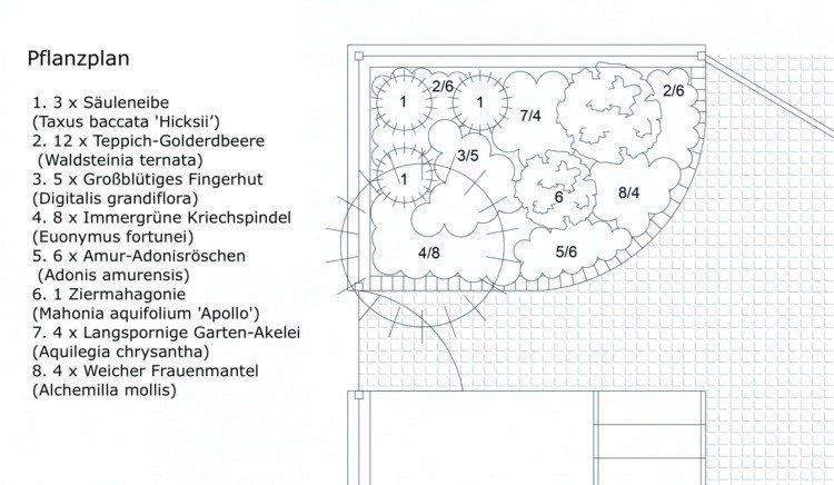 Planera trädgården på norra sidan - planeringsplan