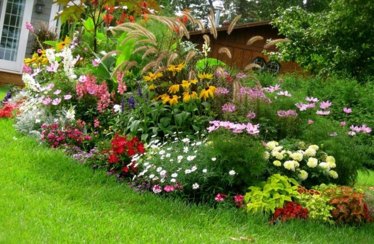 idéer-för-trädgård-design-färgglada-frodiga-med-blommor-välskötta äng