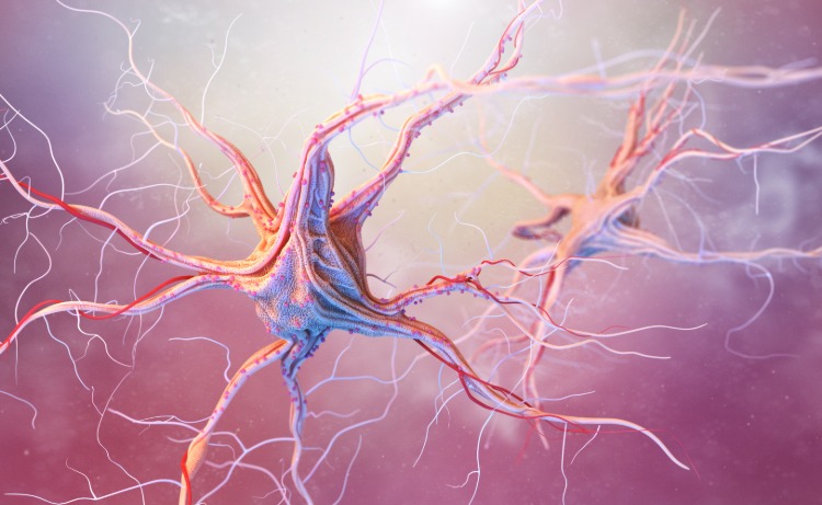 neuroner i nervsystemet 3d illustration