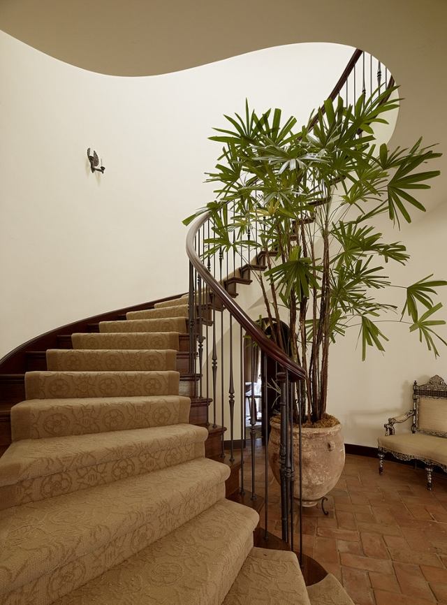 fördelar inomhus växter trappplanter beige bruna färger
