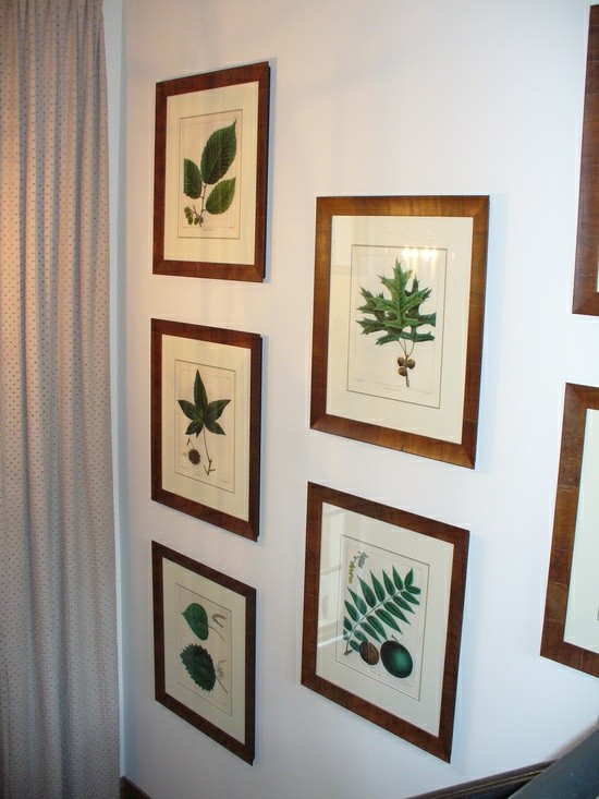 Foto vägg design idéer växter