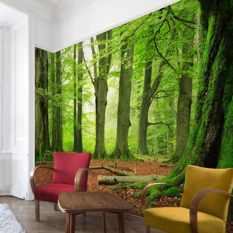 vägg-fototapet-hörn-två-väggar-skog-grön-mossa-träd
