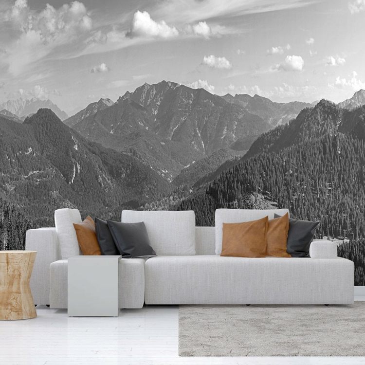 vägg-fototapet-svart-vit-foto-berg-moderna-möbler-beige-grå