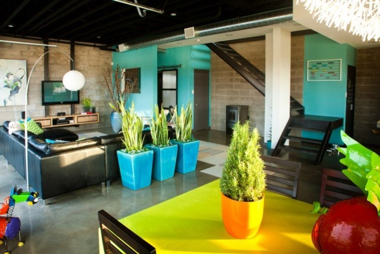 Väggfärg-turkos-väggdesign-idéer-planter